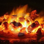 Производство древесного угля как бизнес