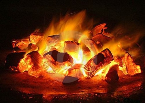 Древесный уголь горит в огне