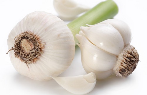 Луковицы и зубчики чеснока
