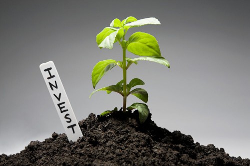 Росток дерева и надпись инвест