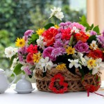 Открываем бизнес в сфере комнатных растений