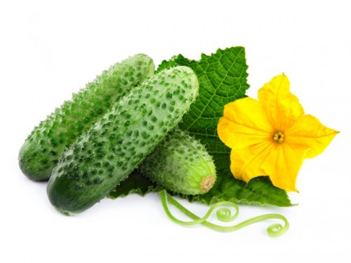 Огурцы и листик