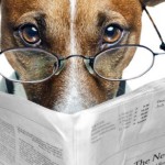 Как сделать рекламу эффективной