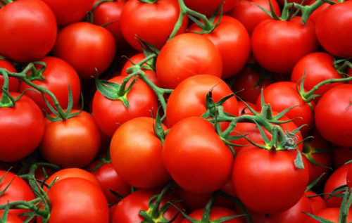 Красные, спелые помидоры