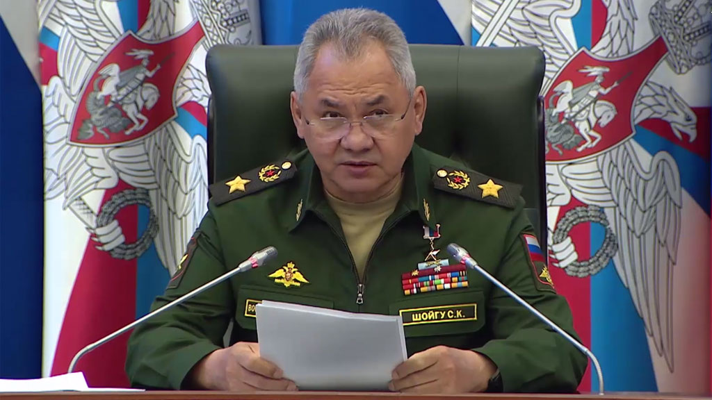 Заявление министра обороны Российской Федерации Сергея Шоугу 21 ноября