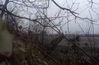 Курская дуга: засада хохлов в Судже, наступление штурмовиков ВС РФ. Уточненная карта боев в приграничье — сводки с фронта на 29.01.2025