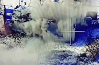28.02.2025 Срочно! Решающее сражение на Днепропетровском направлении - мощный штурм ВС РФ, свежая обстановка в Курском приграничье. Карта боевых действий на Украине